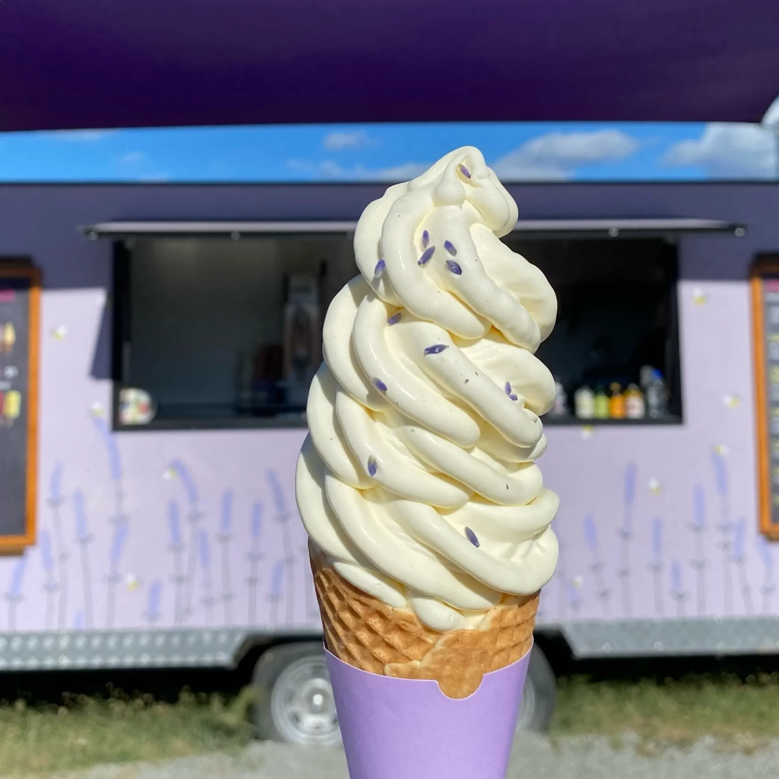 lavender ice cream, Warratina