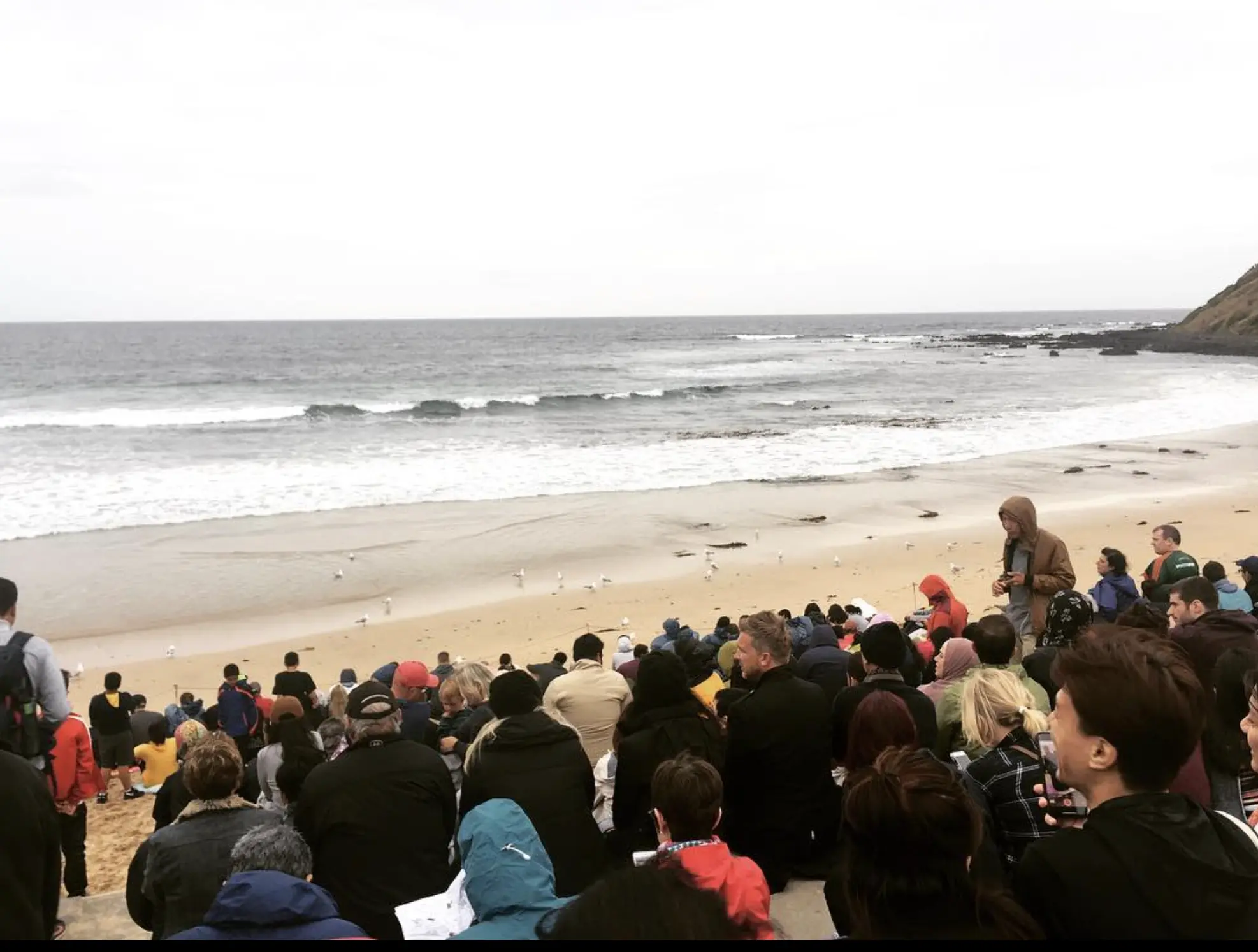 Family Fun at Penguin Parade