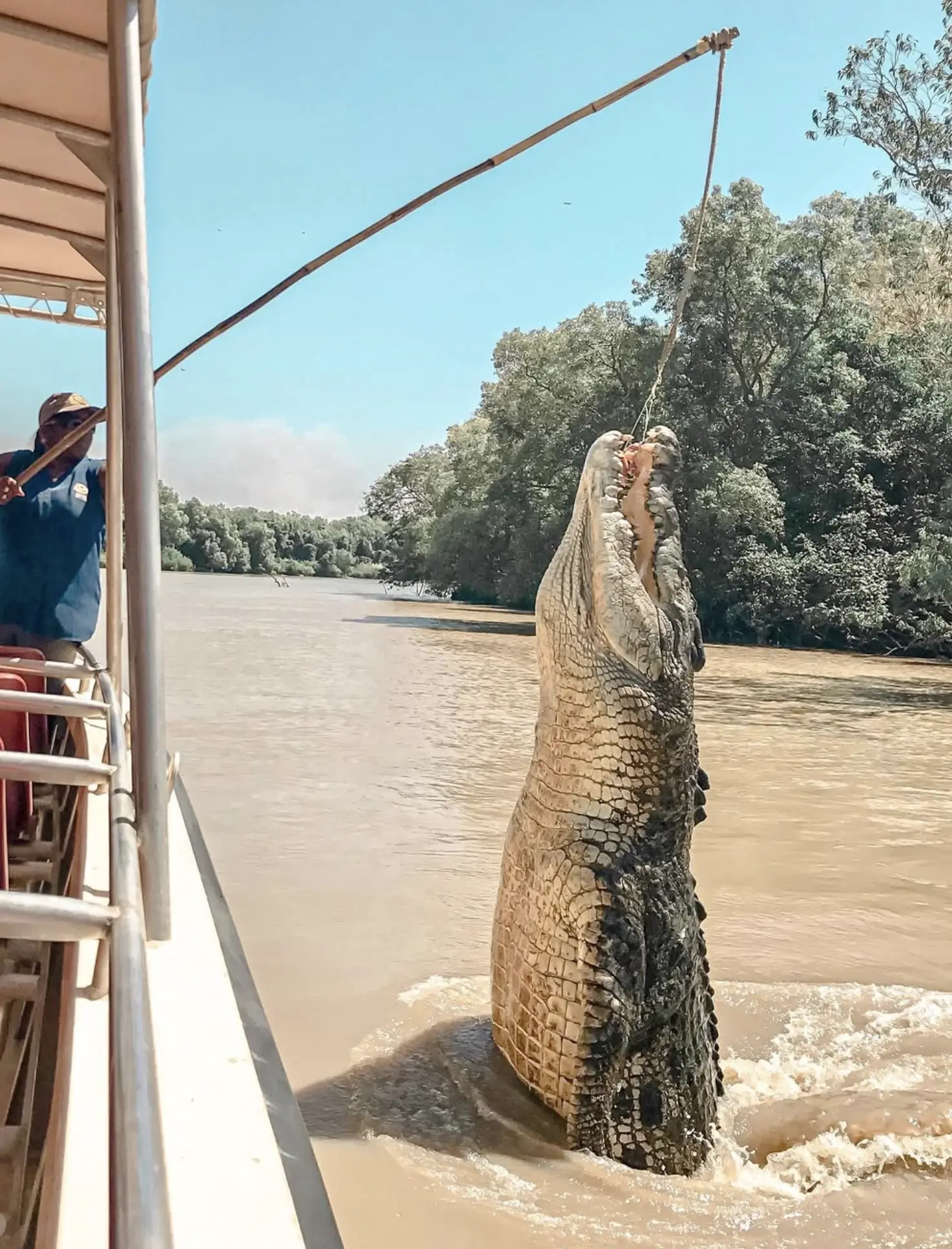 Jumping Crocodile Cruise